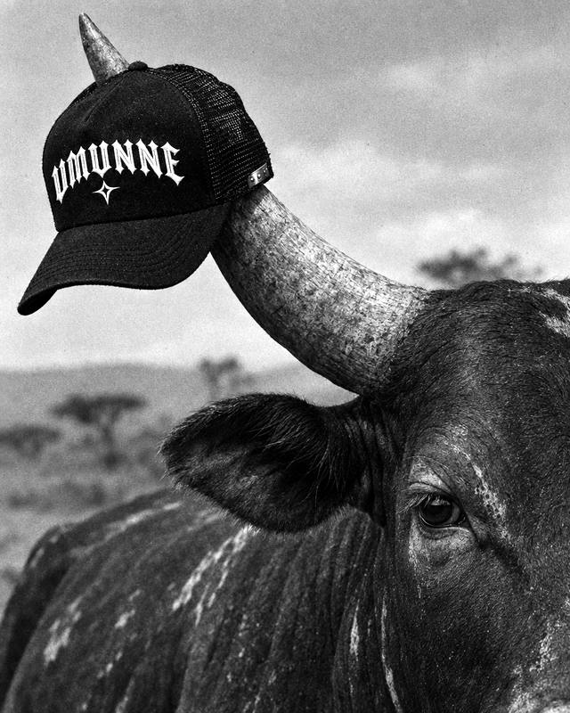 Trucker Cap
